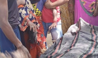 खेलते समय पेङ से गिरकर बालक की मौत