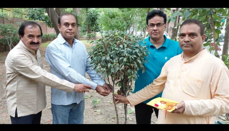 राखी बाँधकर उनकी पूरे वर्ष सुरक्षा करने के संकल्प के साथ मनाया वृक्षा बंधन