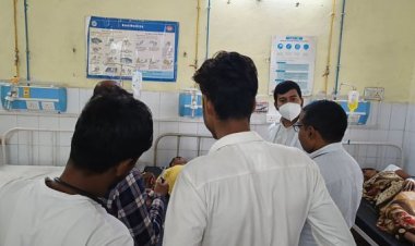 अधमरे सांप को फेकने गया, फिर डसा