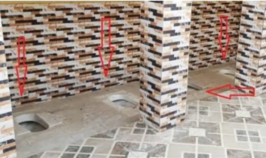 यूपी के इस प्रधान ने किया चमत्कार, एक शौचालय मे लगाया चार सीट