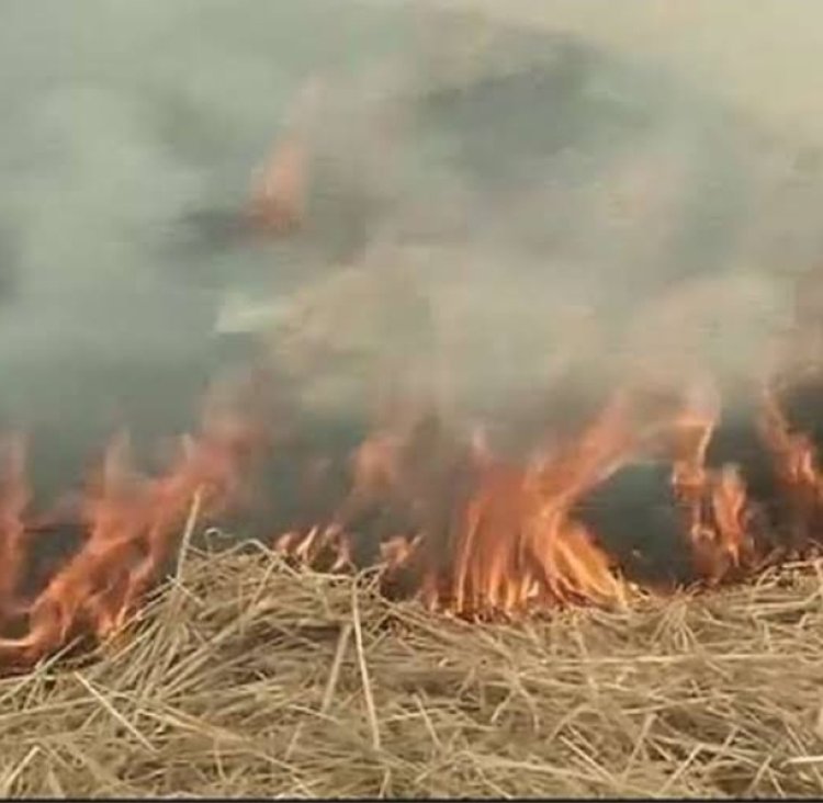 खेतो मे पराली जलाने पर 32 पर नोटिस जारी