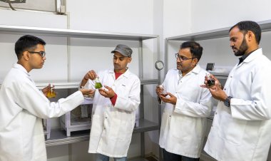 ICRISAT intern wins top awards for developing bio-insecticide