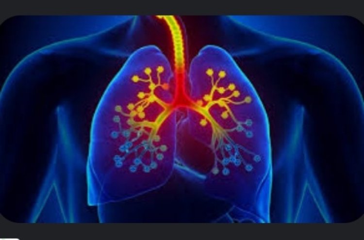 सर्दियों में, बढ़ते स्मोग और प्रदूषण के साथ, सूचित स्वास्थ्य संबंधी निर्णय सांस की बीमारी के मरीजों के लिए जीवन रक्षक हो सकते हैं