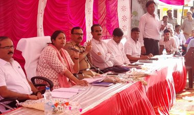 एक्शन में जिलाधिकारी, सचिव को फटकार तो रोजगार सेवक संग सफाई कर्मचारी पर गिरी गाज 