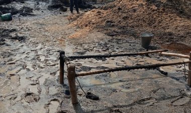 अज्ञात कारणों से लगी आग, एक गाय की मौत दो भैंस झुलसी