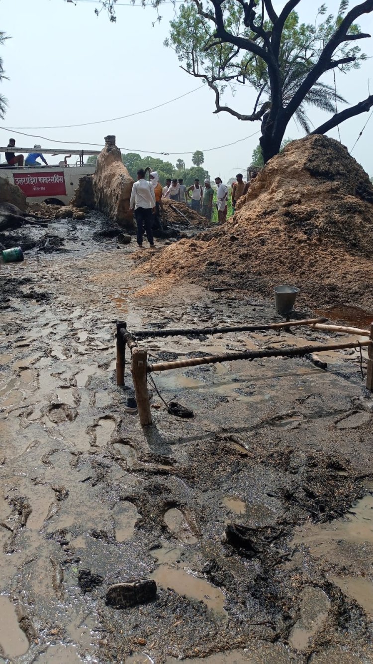 अज्ञात कारणों से लगी आग, एक गाय की मौत दो भैंस झुलसी