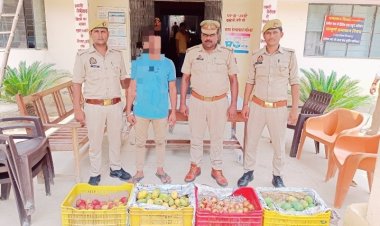 बोलेरो से कर रहा था  फल की दुकान से चोरी, गया जेल