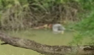 नदी किनारे मिला युवती का शव, शिनाख्त में जुटी पुलिस