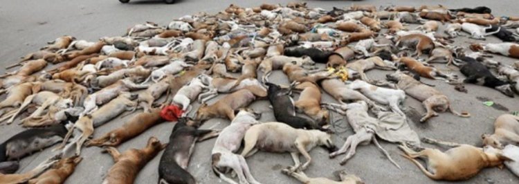 केरल में हत्याओं पर राष्ट्रीय आक्रोश, नागरिकों का विरोध ट्विटर पर शीर्ष पर