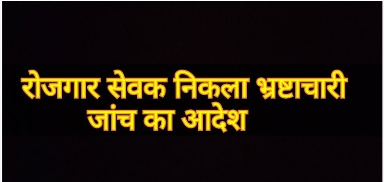 रोजगार सेवक ने मनरेगा, आवास, पौधरोपण, और शौचालय में किया बंपर घोटाला