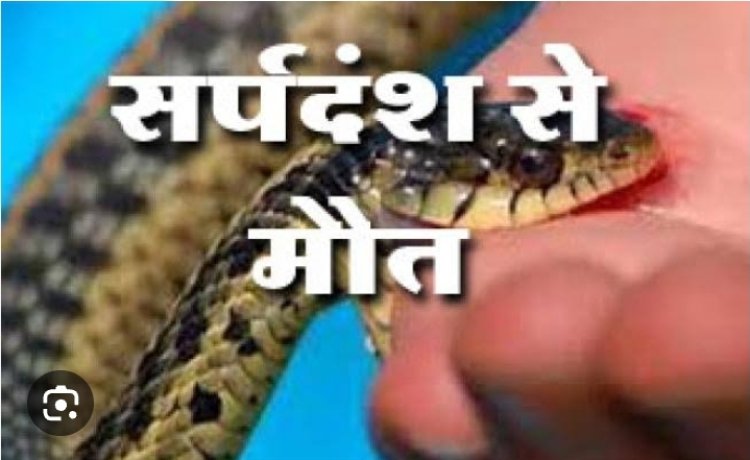 सर्प दंश से दो की मौत, झाड़ फूंक में व्यस्त रहे परिजन