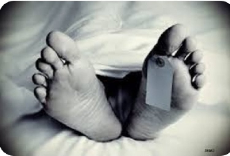 पेड़ पर चढ़कर अमरूद तोड़ते वक्त गिरा अधेड़, हुई मौत