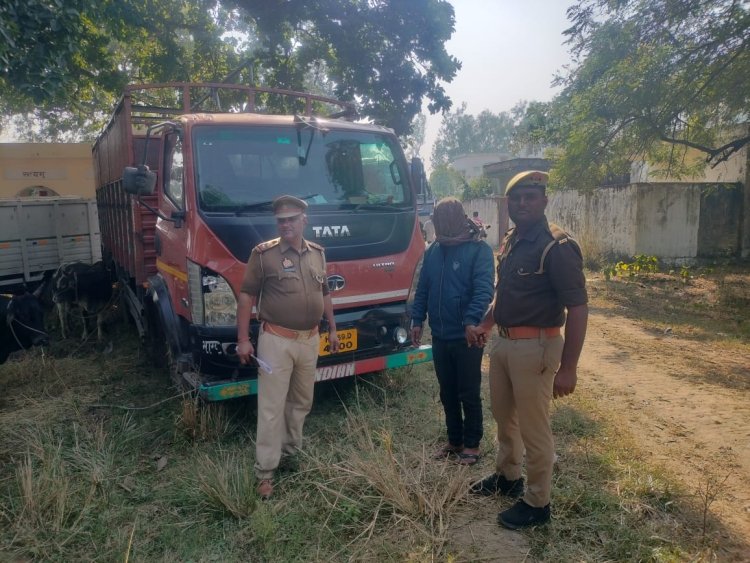 18 राशि गौवंश के साथ एक तस्कर गिरफ्तार