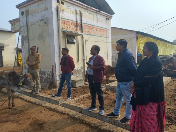 गौशाला में गौमाता का ऐसी दुर्दशा, मामले को संज्ञान में लेते हुए धमके अधिकारी
