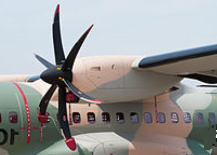 किसी एयरलाइंस का मूल्यांकन उसकी उपलब्धता के आधार पर होता है - आइरीन माक्रिस