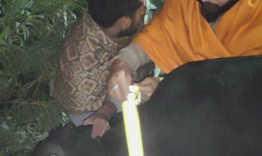 ठंड में कोहरे के बीच सड़क दुर्घटनाओं को रोकने हेतु आगे आई सामाजिक संस्था