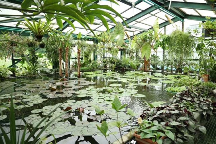 Discovering  Moscow’s Hidden Cultural Treasures