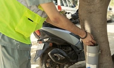 हेमकुंट फाउंडेशन ने गुड़गांव में आवारा कुत्तों के लिए 100 खाद्य सुरंगें स्थापित कीं
