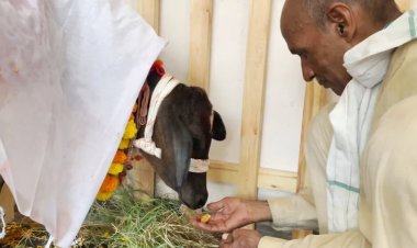 ‘गौ आंगन’, राधा की प्रेरणा से जन्मा देश का पहला काफ कैफे