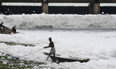 यमुना नदी के फोम  को साफ़ करने वाले केमिकल का नाम आरटीआई से आया सामने 