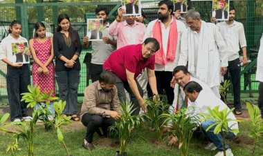 सपा सुप्रीमो अखिलेश यादव के जन्मदिवस पर सात दिवसीय वृक्षारोपण अभियान संपन्न 