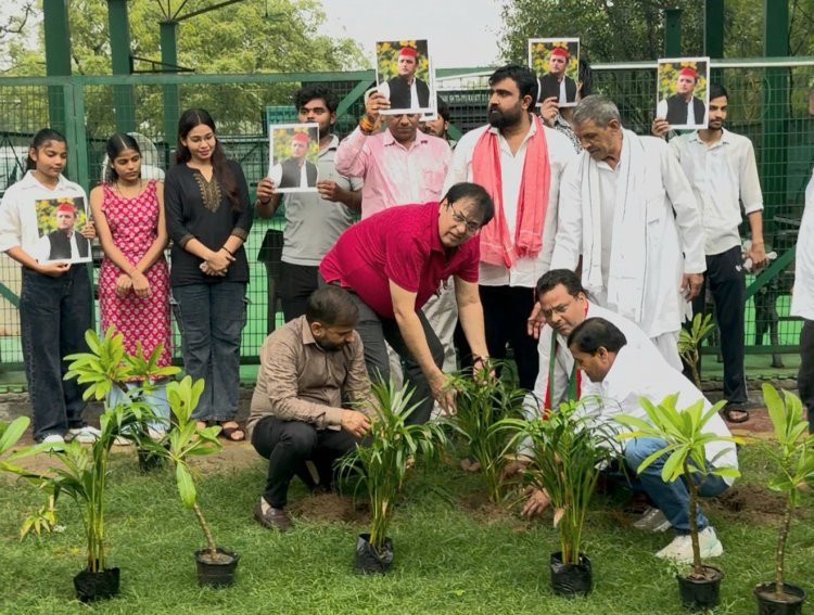 सपा सुप्रीमो अखिलेश यादव के जन्मदिवस पर सात दिवसीय वृक्षारोपण अभियान संपन्न 